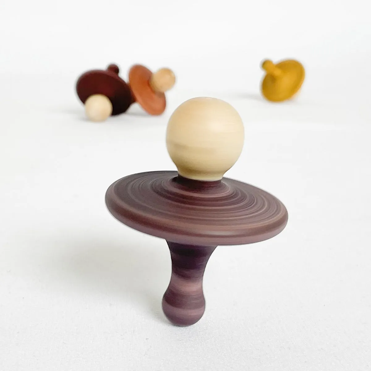 Double Sided Spinning Top