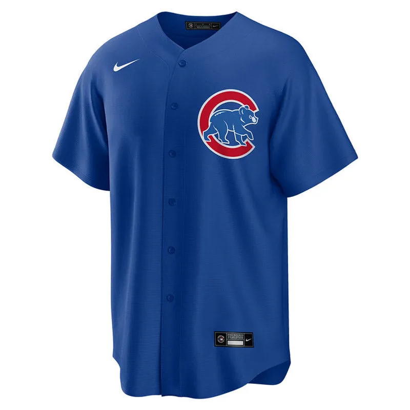 Youth Chicago Cubs Ernie Banks Replica Alternate Jersey - Royal