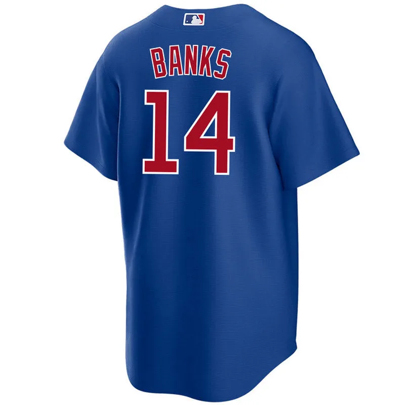 Youth Chicago Cubs Ernie Banks Replica Alternate Jersey - Royal